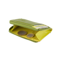 Маленький женский кошелек Vіsconti RB110 - Phi Phi (Lime Multi)