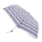 Женский зонт Fulton Superslim-2 L553 - Tropical Stripe (Тропические полосы) Женский зонт Fulton Superslim-2 L553 - Tropical Stripe (Тропические полосы)
