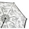 Женский прозрачный зонт-трость Fulton Birdcage-2 L042 - Black Rose (Черная роза)