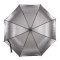 Женский зонт-трость полуавтомат Fulton L903 Kew-2 Silver Iridescent (Серебро)