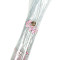 Женский прозрачный зонт-трость Fulton Birdcage-2 L042 Sketchy Sprigs (Весна)