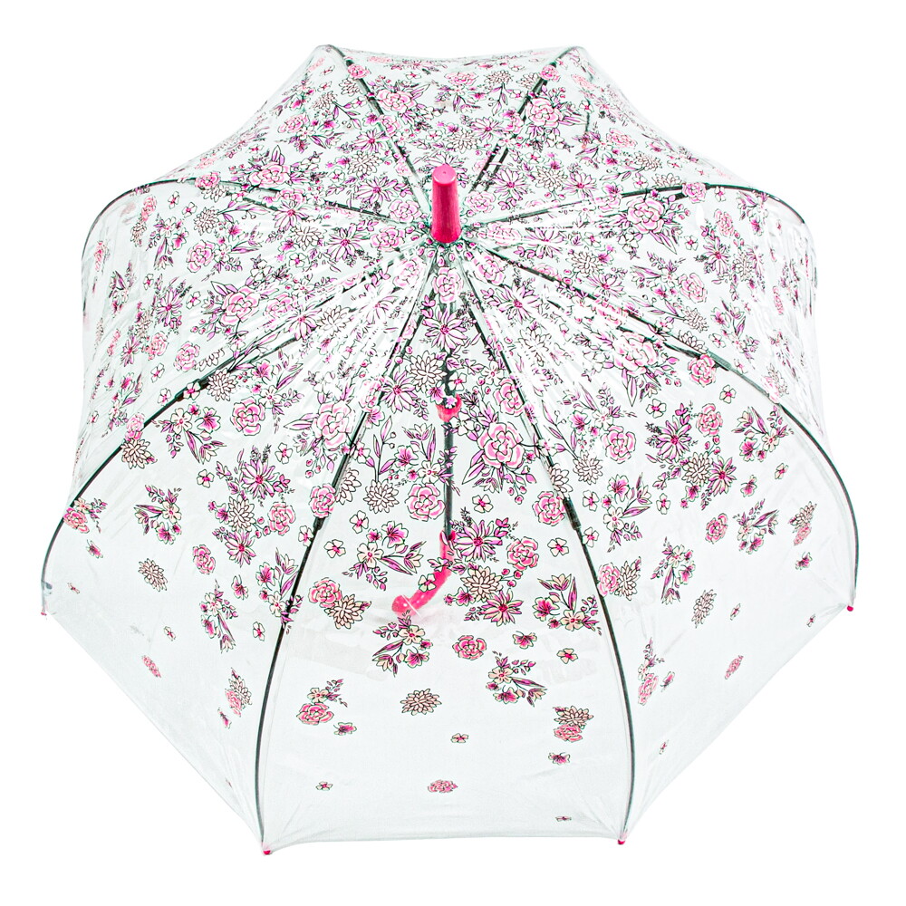 Женский прозрачный зонт-трость Fulton Birdcage-2 L042 Sketchy Sprigs (Весна)