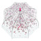 Женский прозрачный зонт-трость Fulton Birdcage-2 L042 Sketchy Sprigs (Весна)