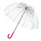 Женский прозрачный зонт-трость Fulton Birdcage-2 L042 Sketchy Sprigs (Весна)