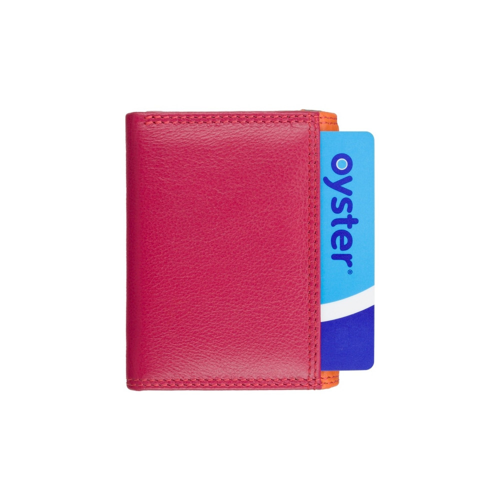 Маленький женский кожаный кошелек Visconti RB126 Zanzibar (Orange Multi)