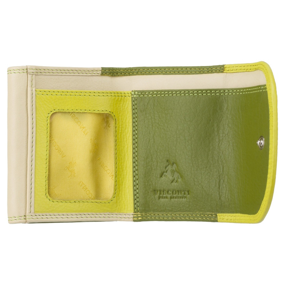 Маленький женский кожаный кошелек Visconti RB126 Zanzibar (Lime Multi)
