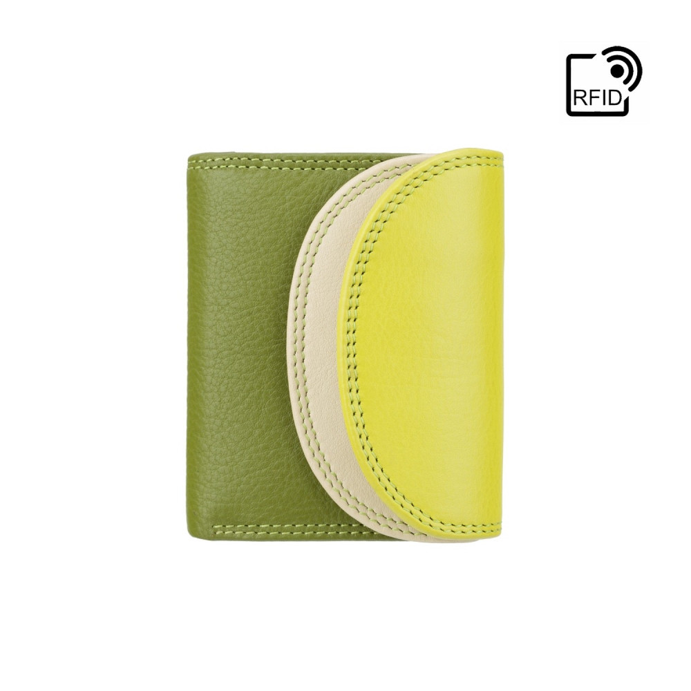 Маленький женский кожаный кошелек Visconti RB126 Zanzibar (Lime Multi)