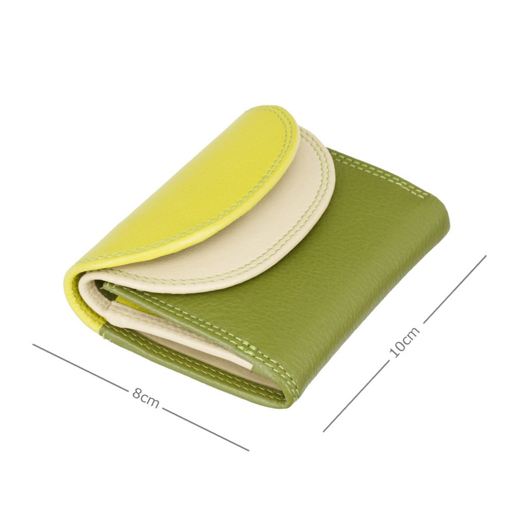 Маленький женский кожаный кошелек Visconti RB126 Zanzibar (Lime Multi)