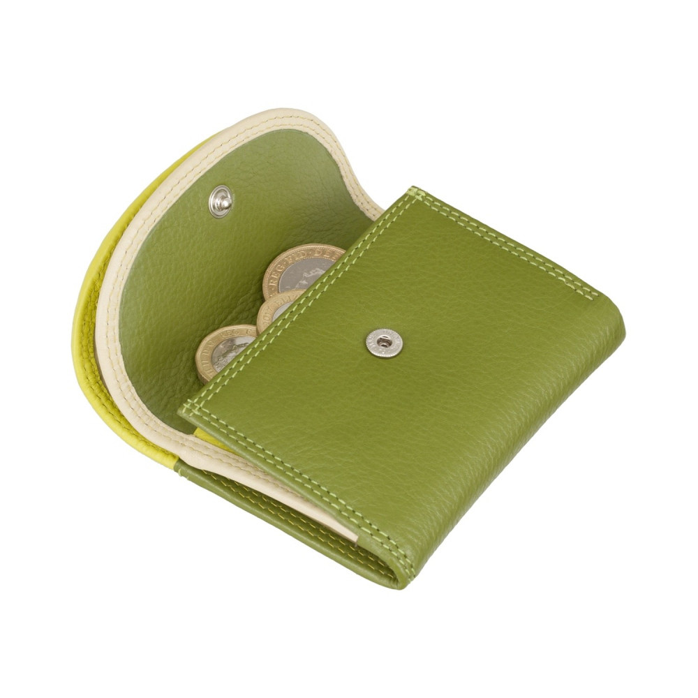 Маленький женский кожаный кошелек Visconti RB126 Zanzibar (Lime Multi)
