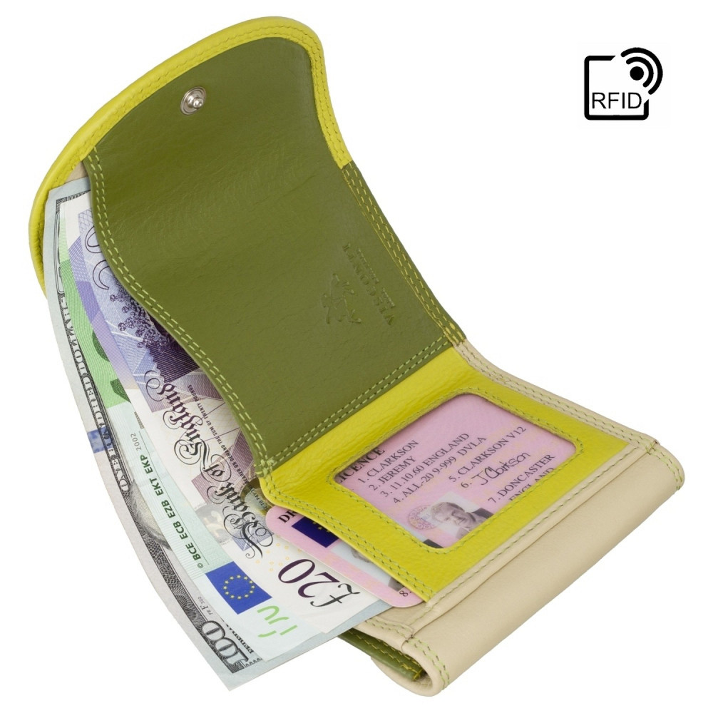 Маленький женский кожаный кошелек Visconti RB126 Zanzibar (Lime Multi)