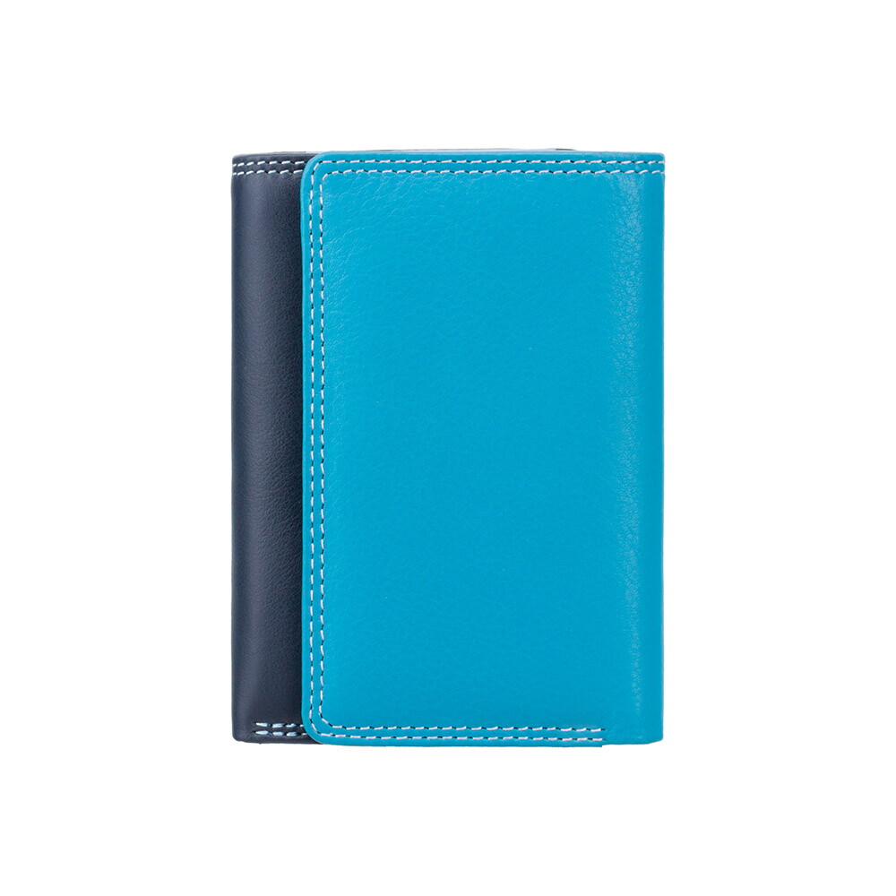 Женский кожаный кошелек Visconti RB39 Biola (Blue Multi)