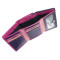 Женский кошелек Visconti RB39 - Biola (Berry Multi)