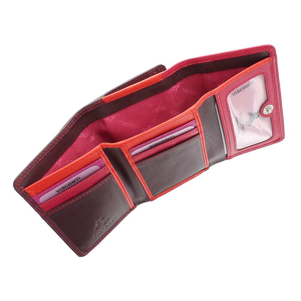 Женский кошелек Visconti RB39 - Biola (Plum Multi)