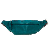 Сумка на пояс Ashwood D102 (Teal)