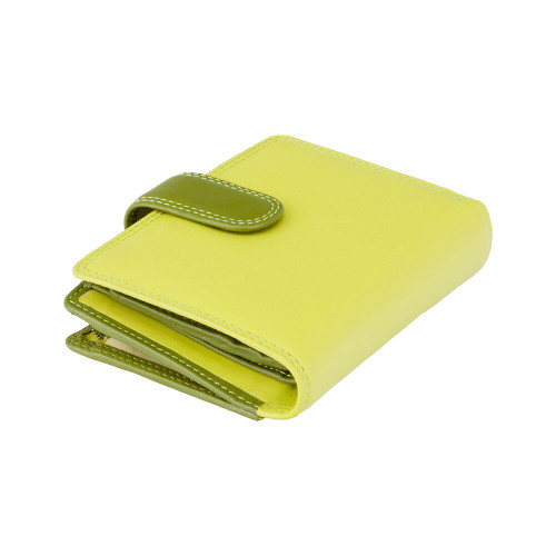 Жіночий гаманець Visconti RB40 з RFID - Bali (Lime Multi)