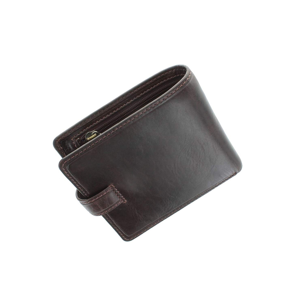 Мужской кожаный кошелек Visconti TSC41 Massa (Brown) 