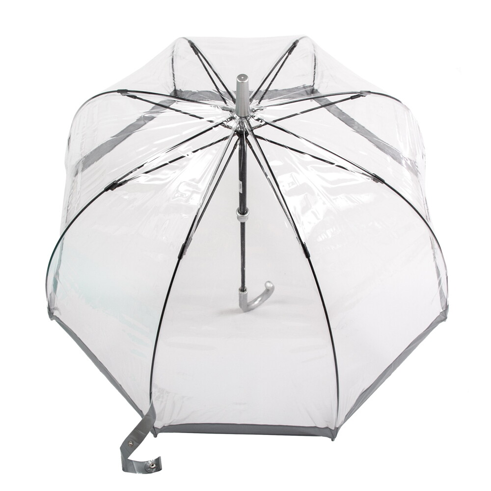 Женский прозрачный зонт-трость Fulton Birdcage-1 L041 Silver (Серебряный)