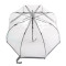 Женский прозрачный зонт-трость Fulton Birdcage-1 L041 Silver (Серебряный)