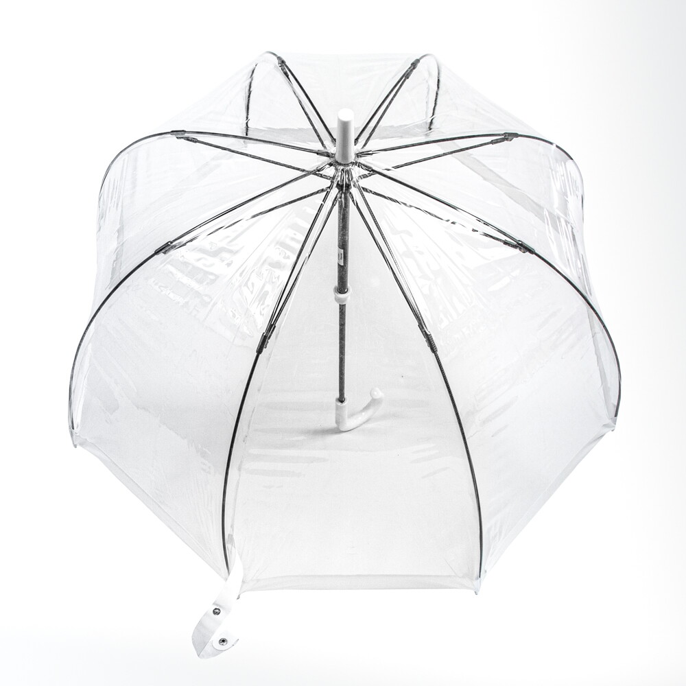 Женский прозрачный зонт-трость Fulton Birdcage-1 L041 White (Белый)