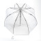 Женский прозрачный зонт-трость Fulton Birdcage-1 L041 White (Белый)