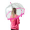 Женский прозрачный зонт-трость Fulton Birdcage-1 L041 Pink (Розовый)