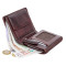 Мужской кожаный кошелек Visconti TSC44 - Lucca (brown) 