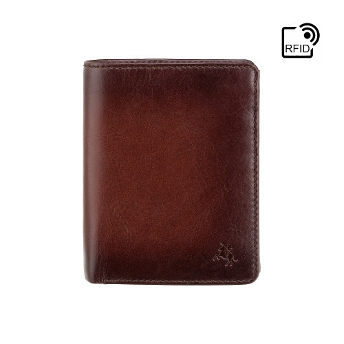 Мужской кожаный кошелек Visconti AT62 c RFID Hector (Burnish Tan)