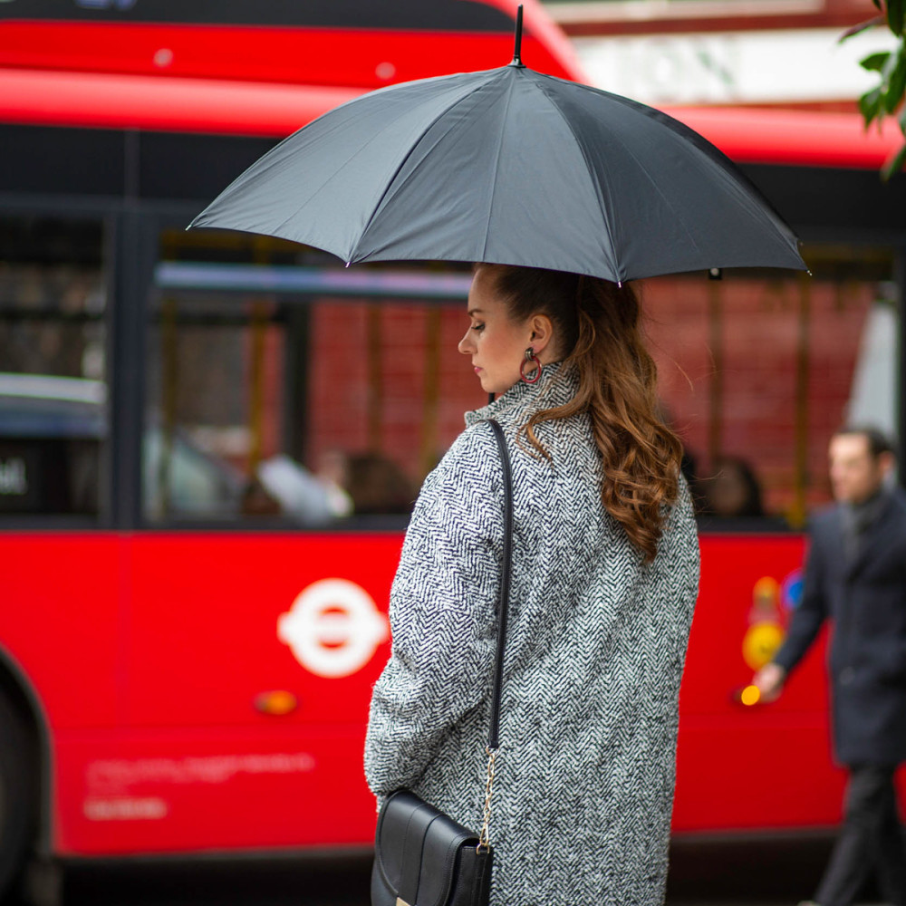 Женский зонт-трость Fulton Bloomsbury-2 L754 - Lynx (Рысь)