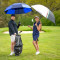 Зонт-гольфер Fulton Stormshield-2 S919-039861 Stormshield Stripe (Полоса)