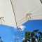 Женский зонт Fulton L908-039595 Kensington UV Star Cream