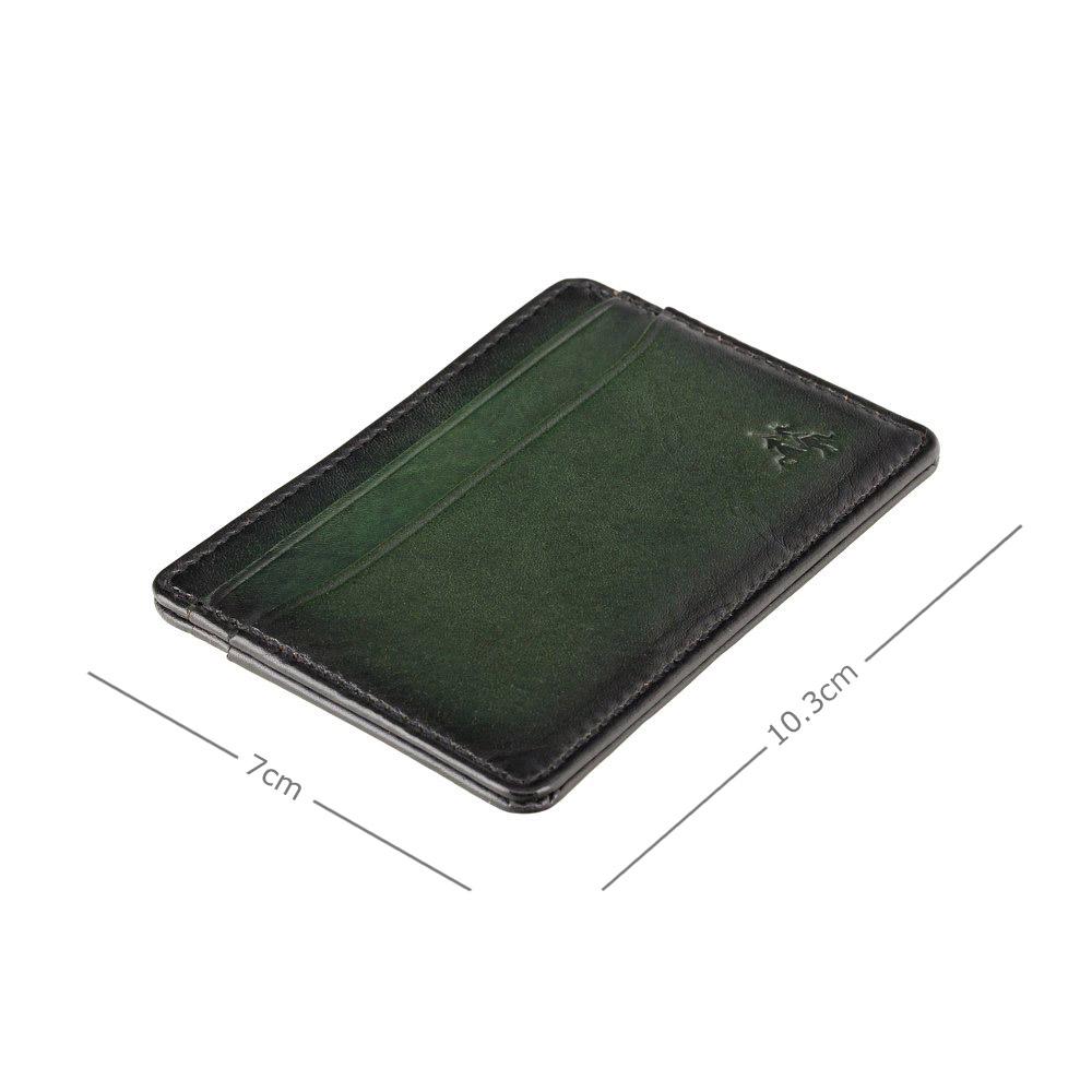 Картхолдер Visconti AT54 с RFID Evan (Burnish Green)
