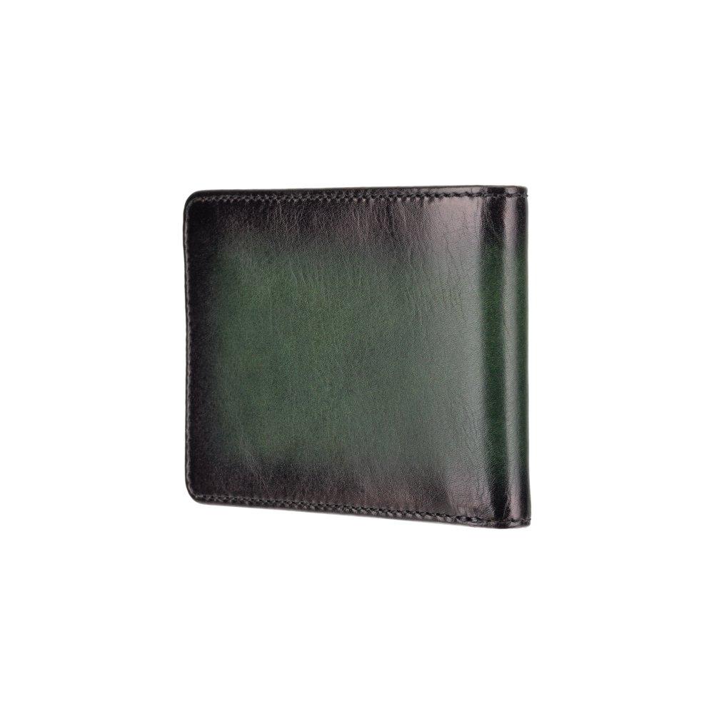 Чоловічий гаманець із монетницею Visconti AT63 Roland c RFID (Burnish Green)