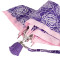 Женский зонт Fulton L926 Curio-2 UV Sketchy Rose (Эскиз розы)