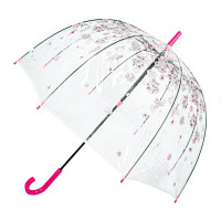 Жіночий прозорий парасолька-тростина Fulton Birdcage-2 L042 Sketchy Sprigs (Весна)