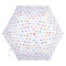 Зонт женский Fulton L553-040997 Superslim-2 Butterflies & Flowers (Бабочки и цветы)