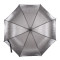 Женский зонт-трость полуавтомат Fulton L903 Kew-2 Silver Iridescent (Серебро)