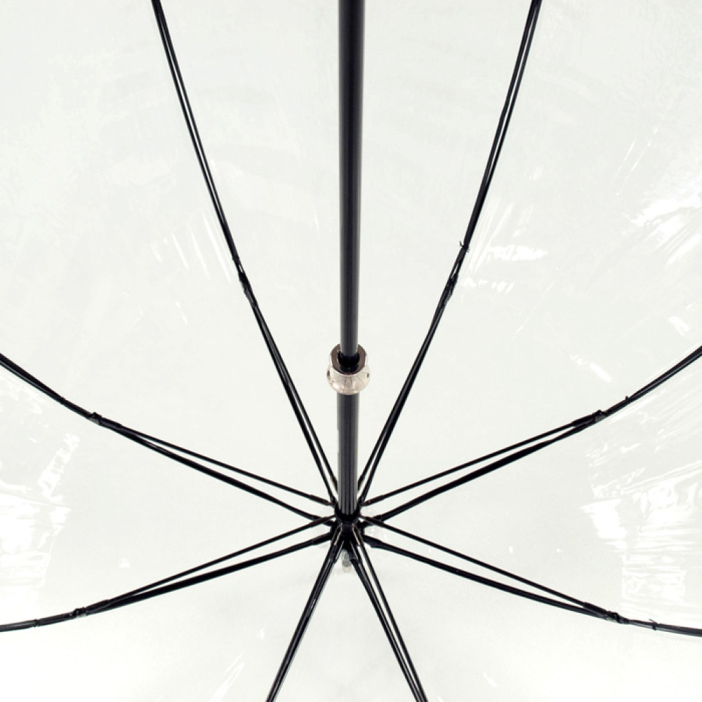 Женский прозрачный зонт Fulton Birdcage-2 Luxe L866 - Photo Rose (Розы)