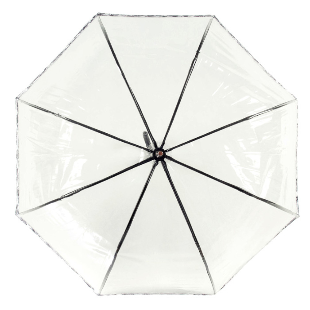 Женский прозрачный зонт Fulton Birdcage-2 Luxe L866 - Photo Rose (Розы)
