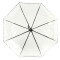 Женский прозрачный зонт Fulton Birdcage-2 Luxe L866 - Photo Rose (Розы)